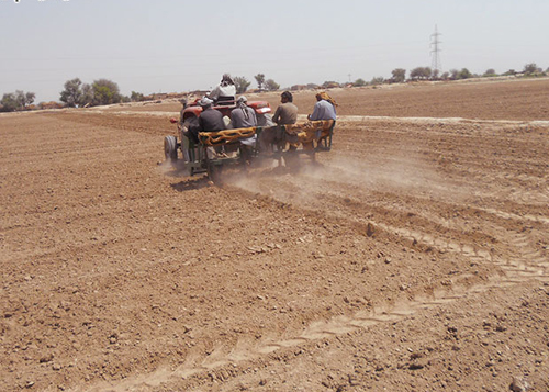 Pakistan First Cotton Crop Survey 2016-17