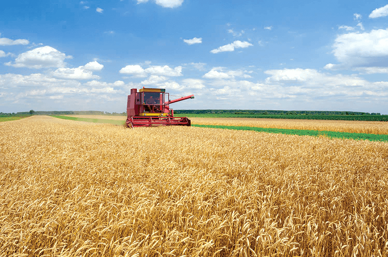 innovation in agriculture sector innovation in agriculture sector