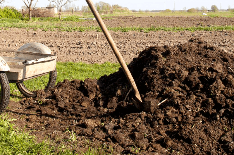 Manures and Fertilizers Manures and Fertilizers