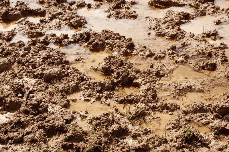 Sailine or Sodic Soils and Waterlogged Soil Sailine or Sodic Soils and Waterlogged Soil