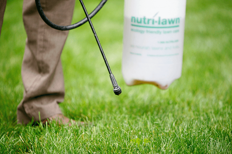 Weed Control Weed Control